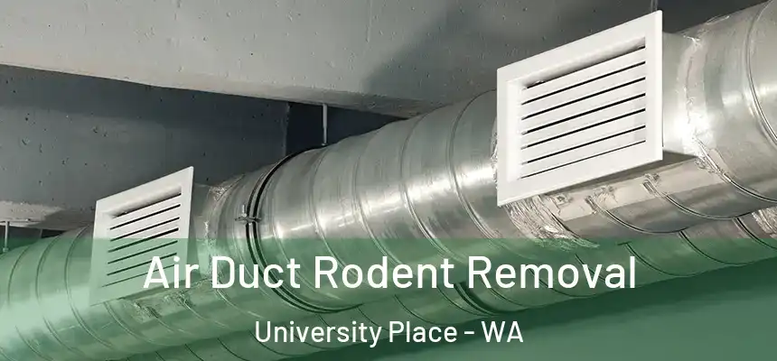  Air Duct Rodent Removal University Place - WA