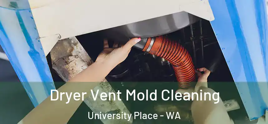 Dryer Vent Mold Cleaning University Place - WA