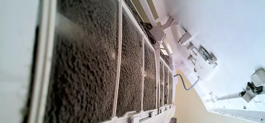 Preventive Air Duct Bacteria Removal in University Place