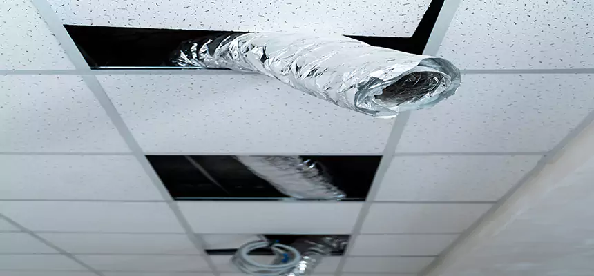 Affordable HVAC Sanitizing After Pest Removal in University Place