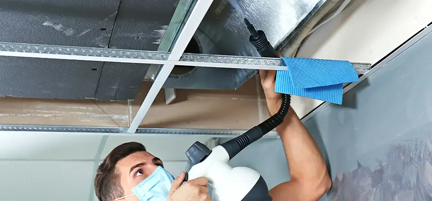 Our Air Duct Rodent Removal Services in University Place, WA