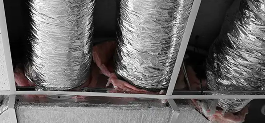 Scalable Commercial Multi‑Unit Dryer Vent Camera Inspection in University Place, WA