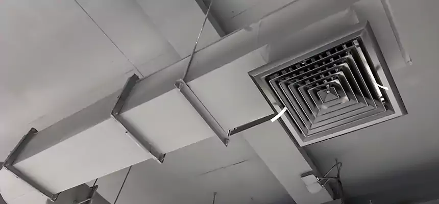 Our Pest Removal From Ducts Services in University Place, WA