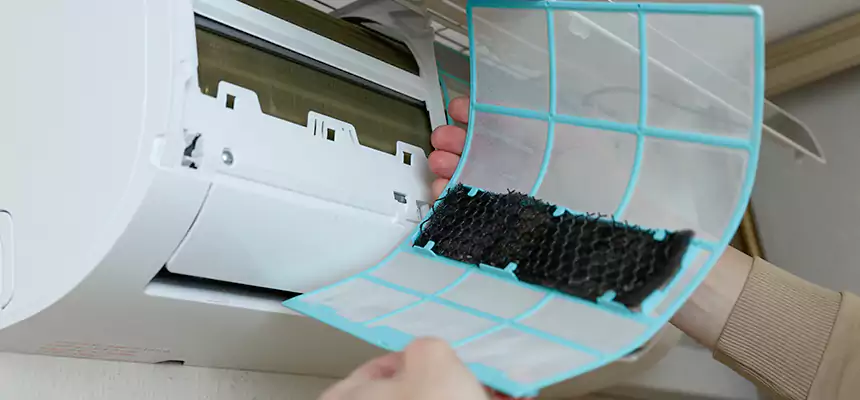 Gentle Ductwork Odor-Control Pet Dander Duct Cleaning in University Place, WA