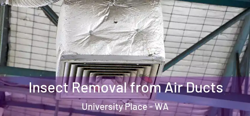 Insect Removal from Air Ducts University Place - WA