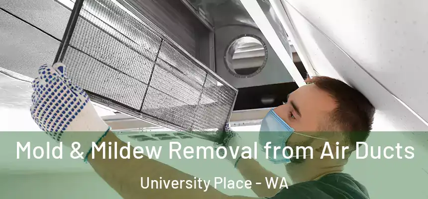  Mold & Mildew Removal from Air Ducts University Place - WA