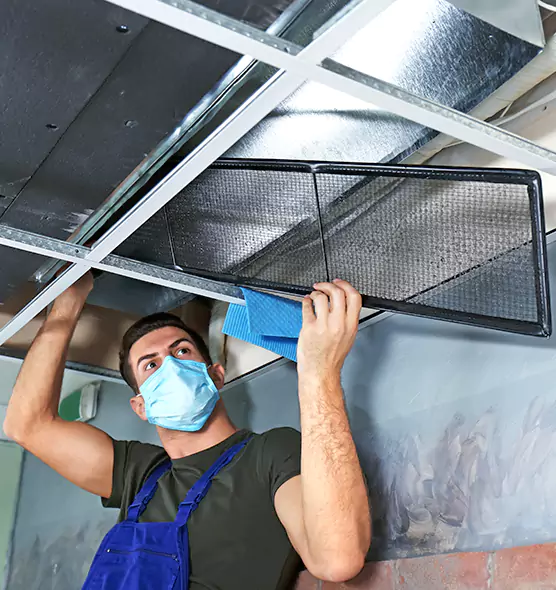 About Air Duct Bacteria Removal in University Place