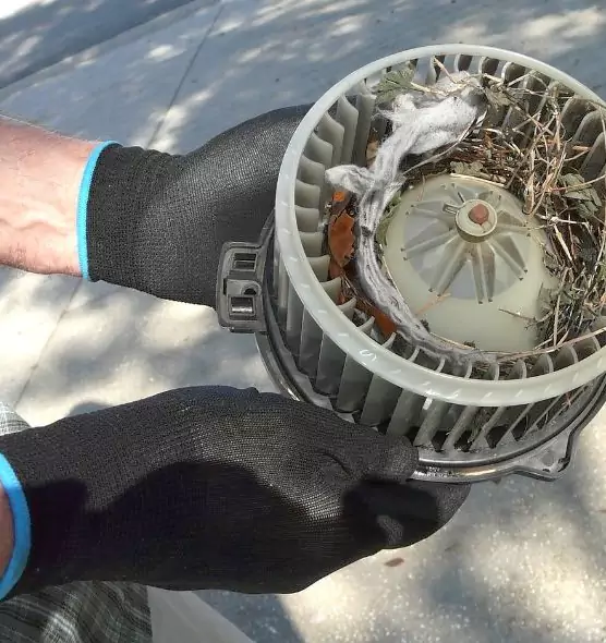 About Air Duct Mice Removal in University Place, WA