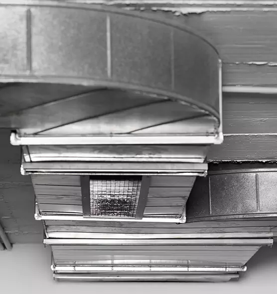 Professional Air Duct Pet Hair Removal in University Place, WA