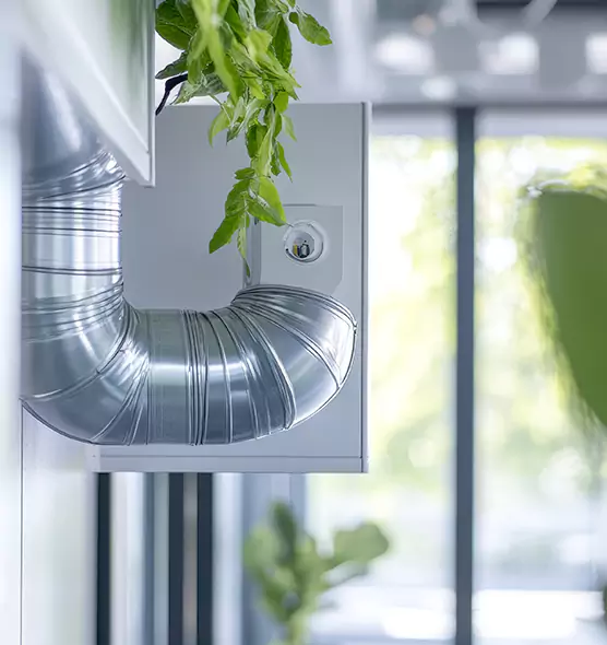 Professional Eco-Safe Dryer Vent Cleaning in University Place, WA