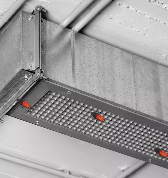 Affordable Insect Removal from Air Ducts in University Place, WA