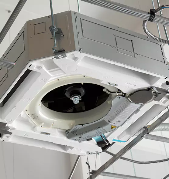 Professional Roof Vent Lint Removal University Place, WA