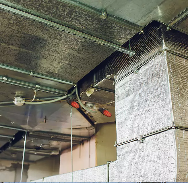 Why Homeowners & Businesses Trust Us in University Place, WA?