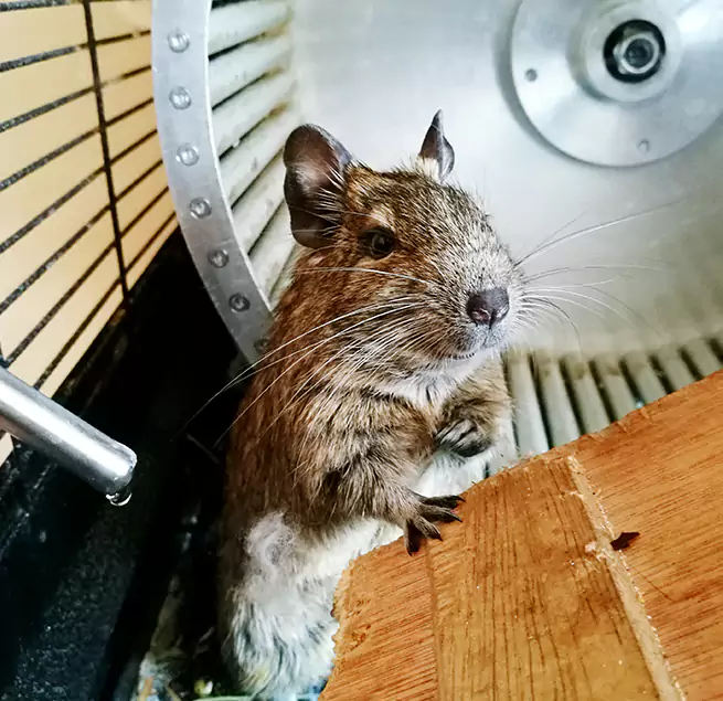 Why Homeowners & Businesses Trust Us University Place, WA