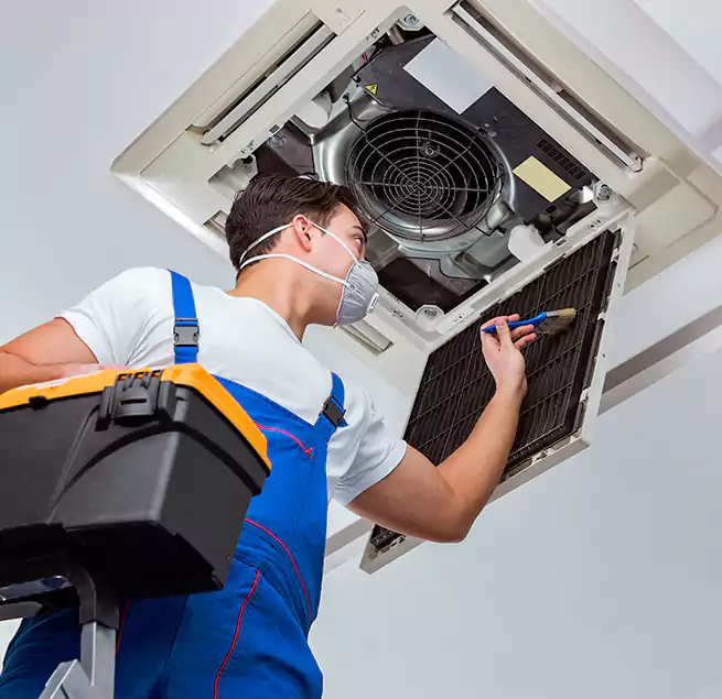 Why Homeowners & Businesses Trust Us in University Place, WA