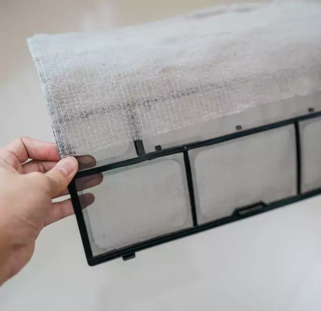 Why Homeowners & Businesses Trust Us in University Place, WA?