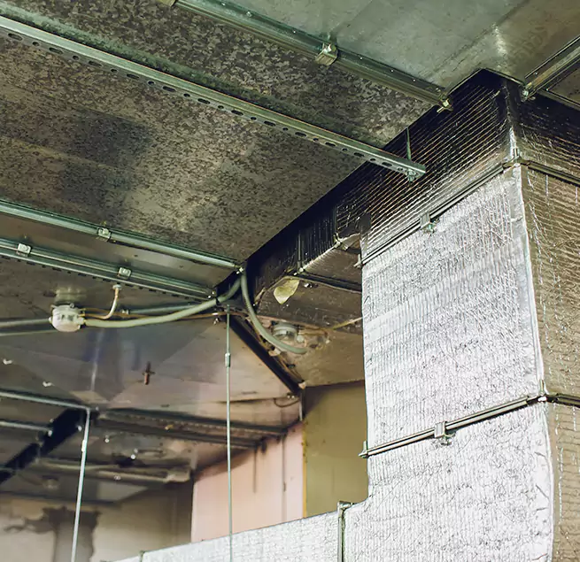 Why Homeowners & Businesses Trust Us in University Place, WA?